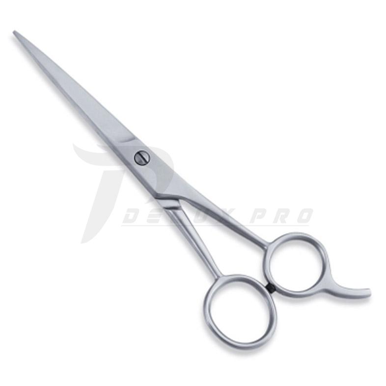  Economy Hair Scissors