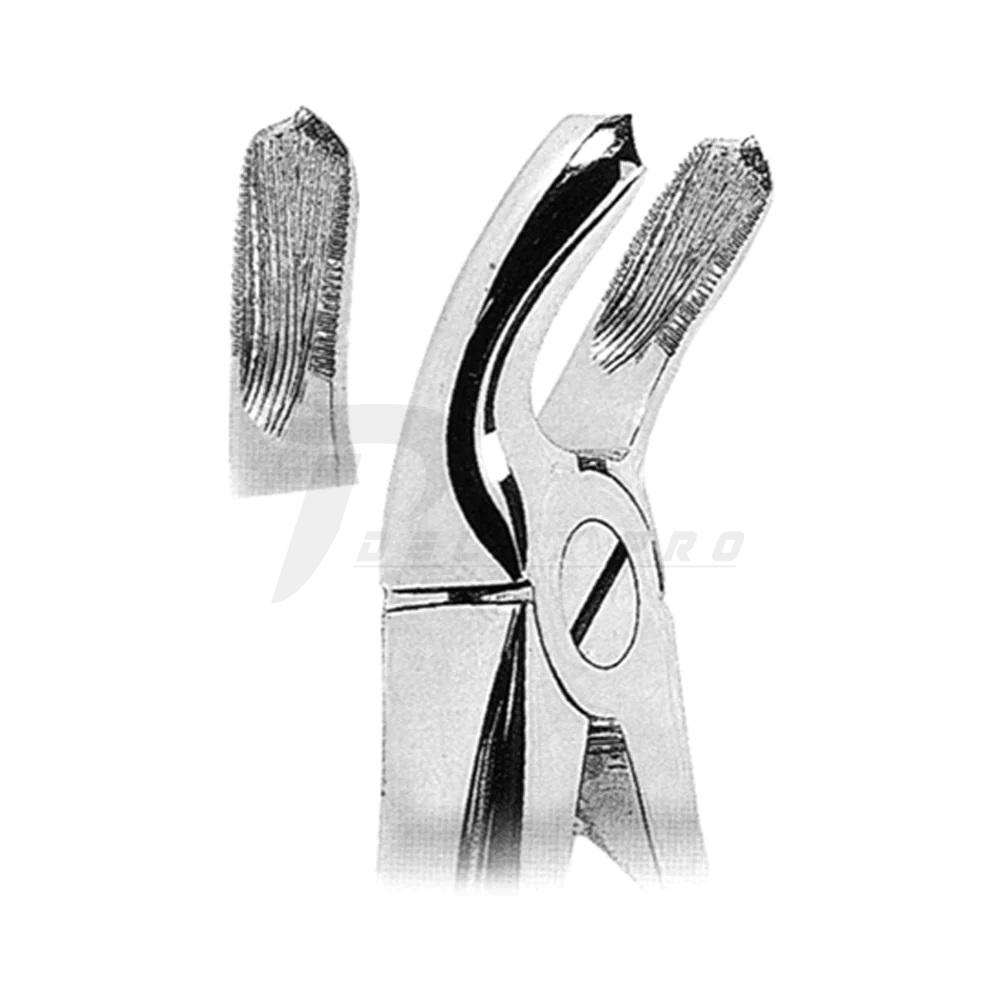 Extracting Forceps