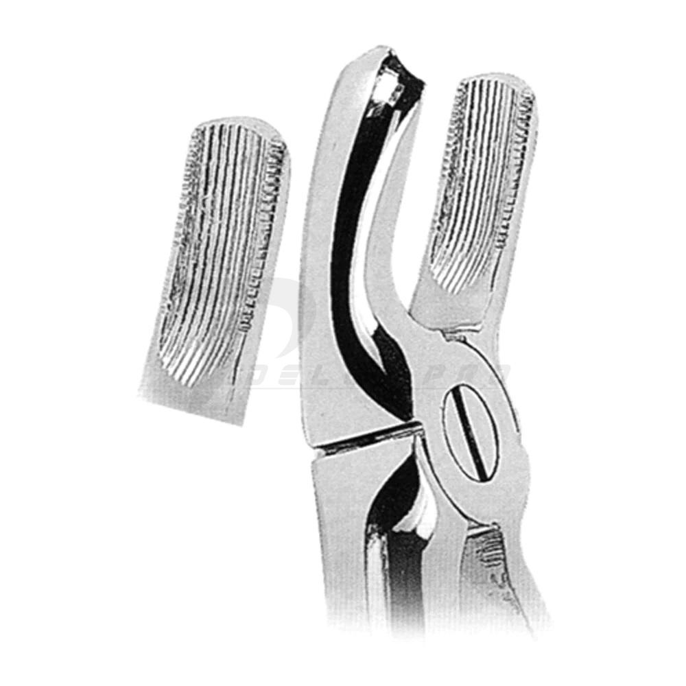Extracting Forceps