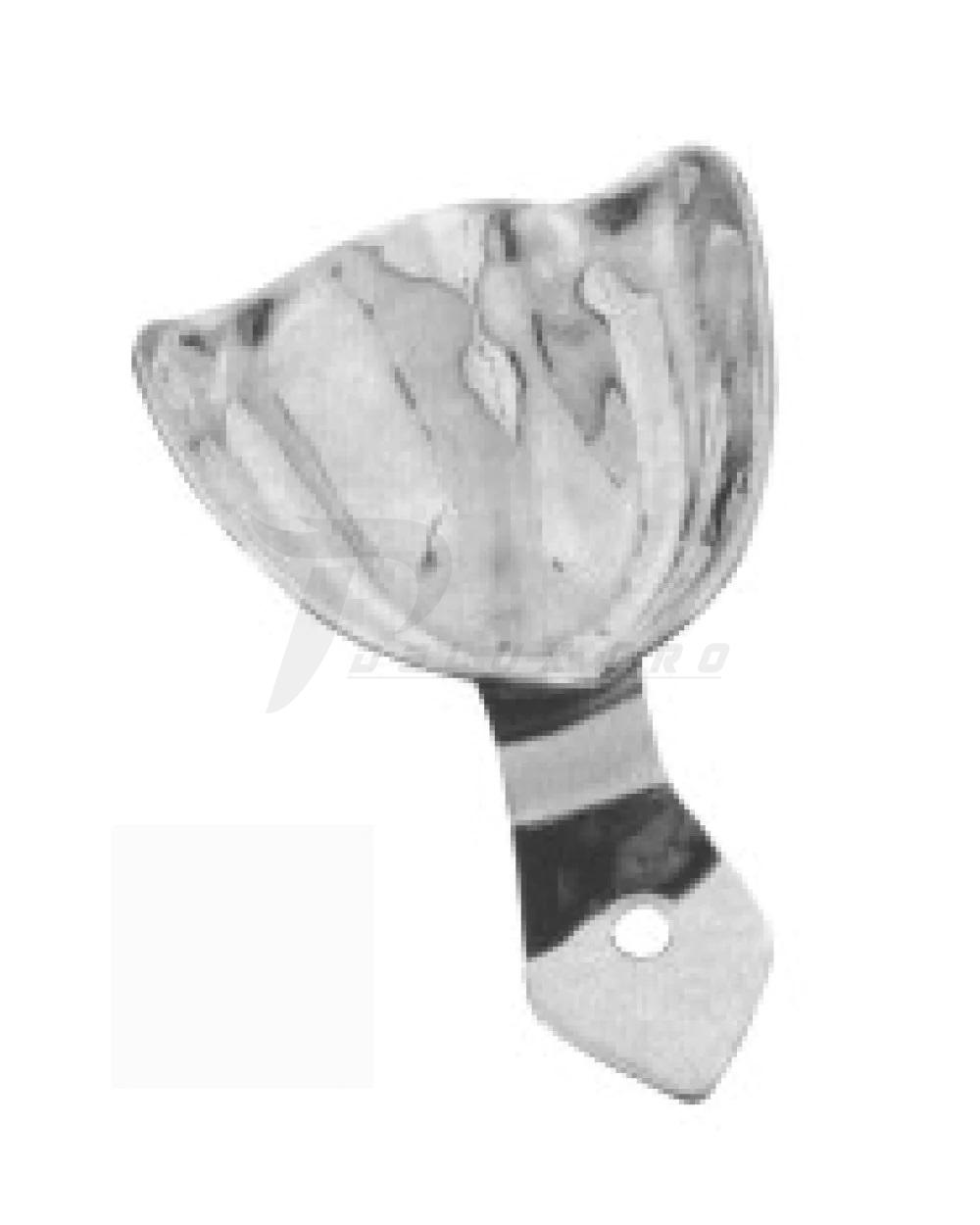 Impression Trays