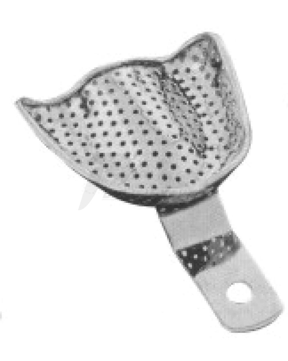 Impression Trays
