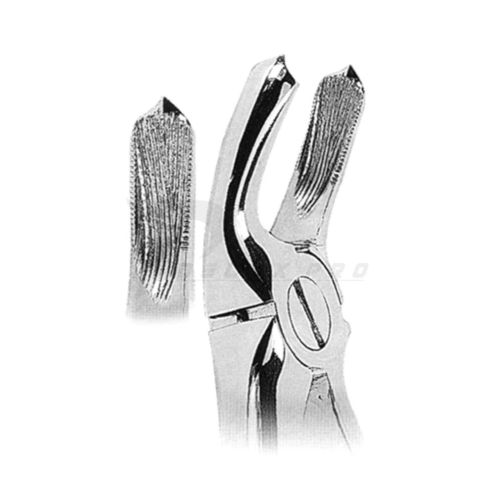 Extracting Forceps