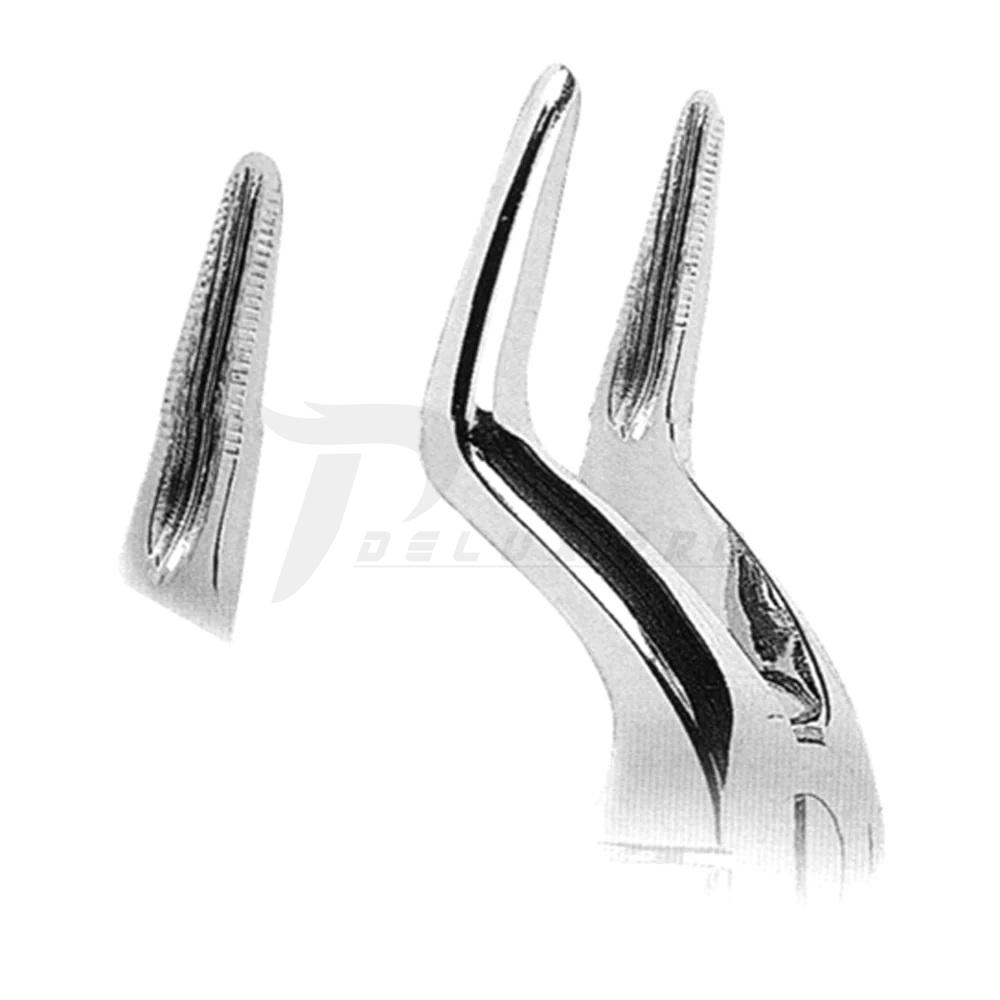 Extracting Forceps