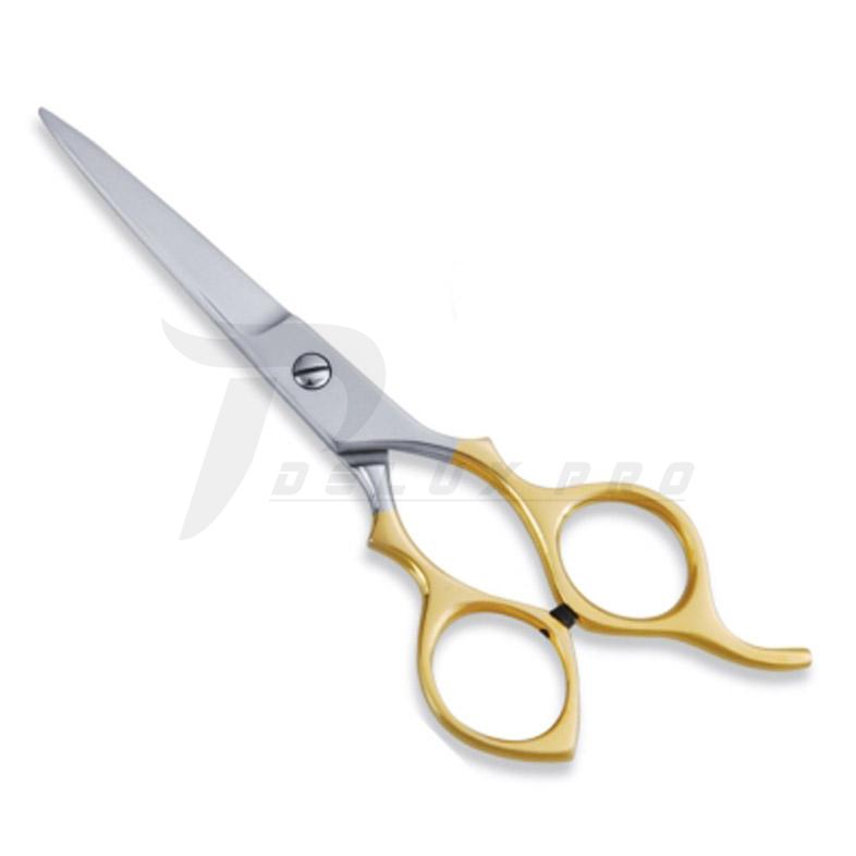  Economy Hair Scissors