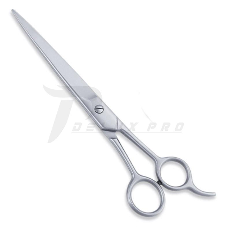  Economy Hair Scissors