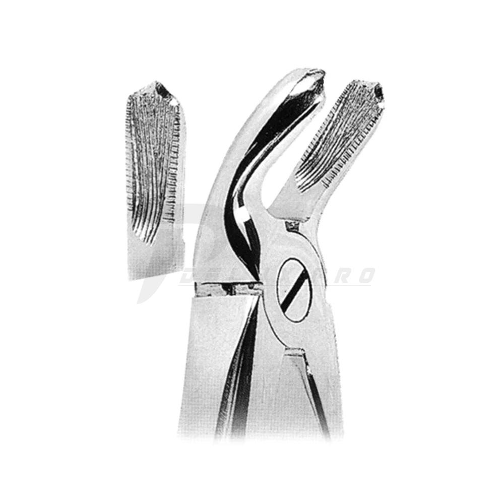 Extracting Forceps